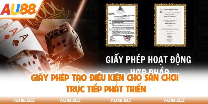 Giấy phép tạo điều kiện cho sân chơi trực tiếp phát triển