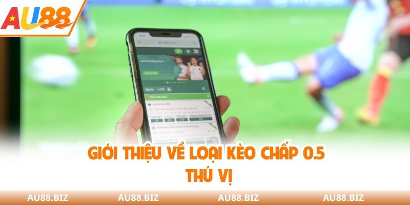 Giới thiệu về loại kèo chấp 0.5 thú vị