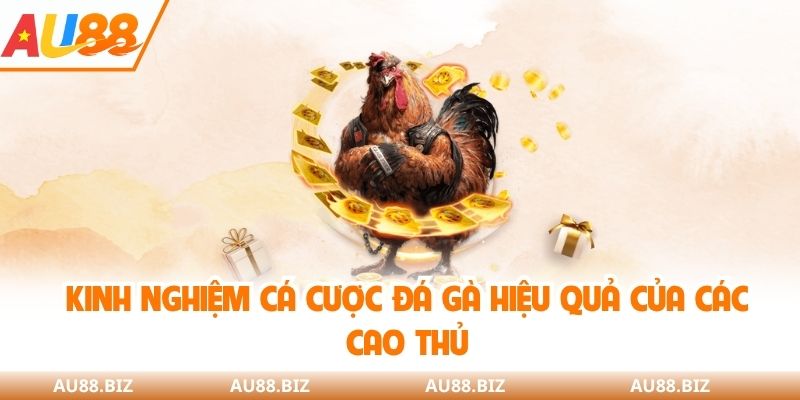kinh nghiệm cá cược đá gà